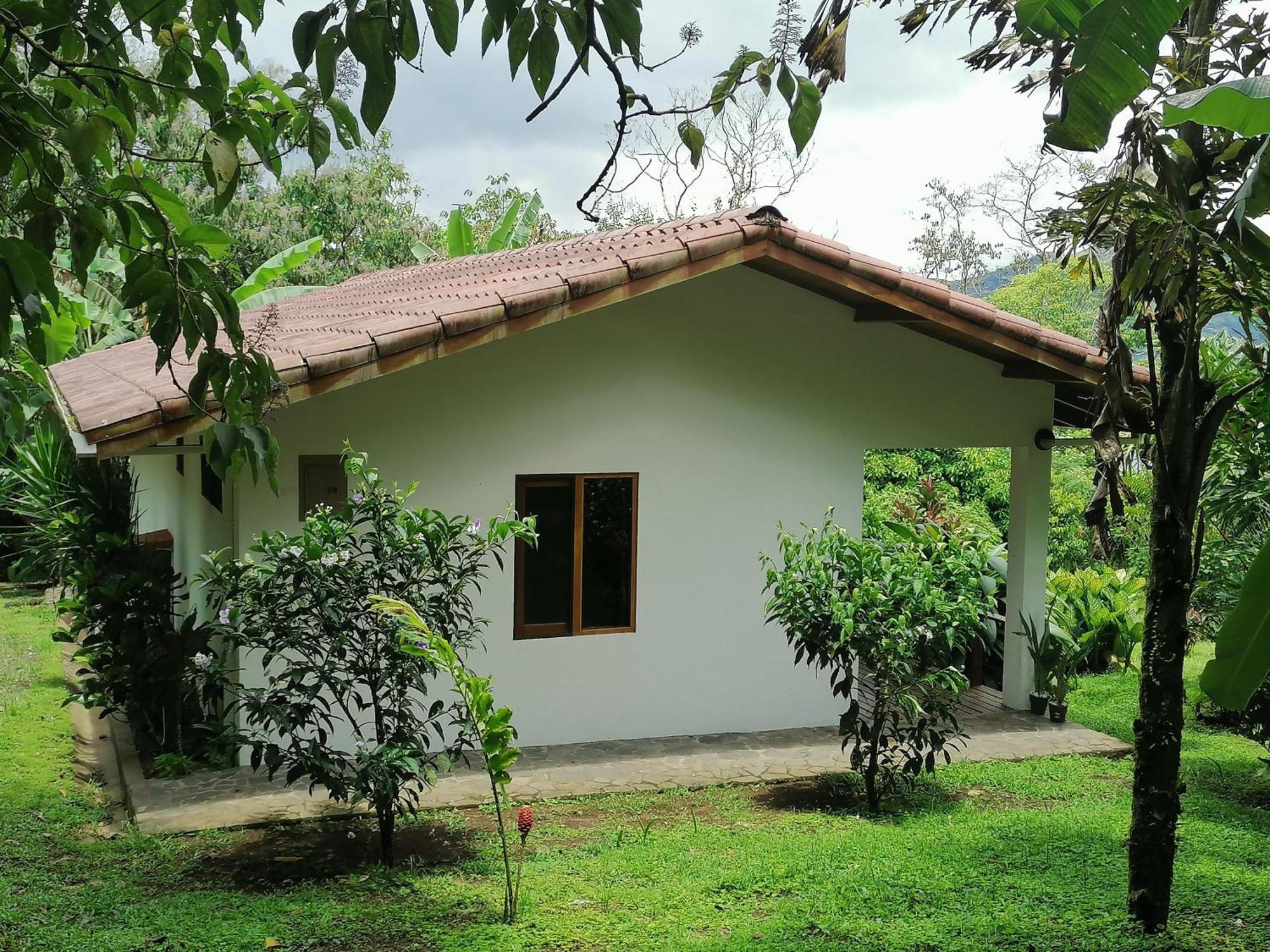 La Ceiba Tree Lodge Tilarán Exteriér fotografie