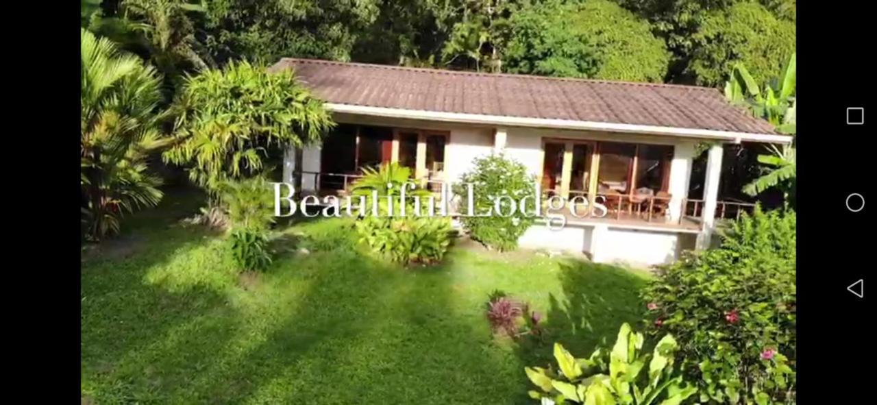 La Ceiba Tree Lodge Tilarán Exteriér fotografie