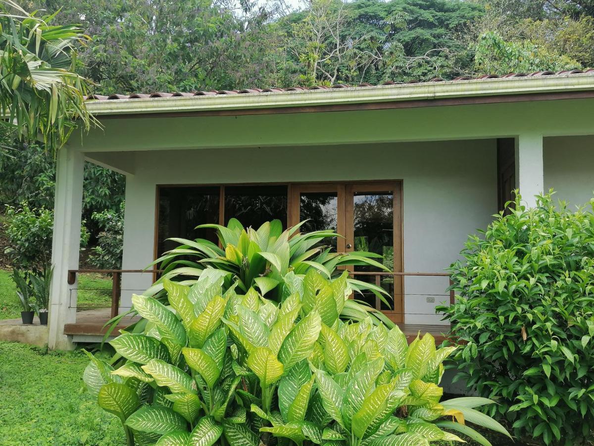 La Ceiba Tree Lodge Tilarán Exteriér fotografie